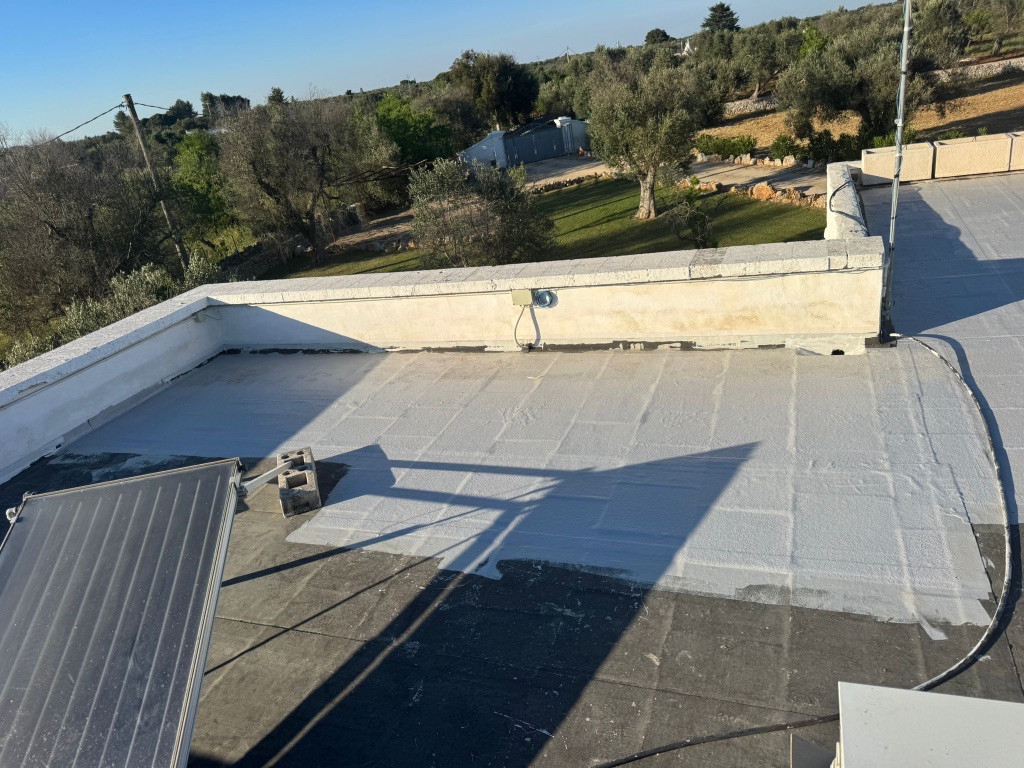 Flat roof coating application in progress — half-coated surface